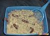 Click image for larger version. 

Name:	KITTY LITTER CAKE PICTURE.jpg 
Views:	122 
Size:	18.7 KB 
ID:	1986